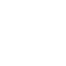 Vision